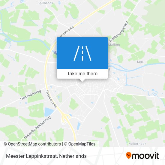 Meester Leppinkstraat map