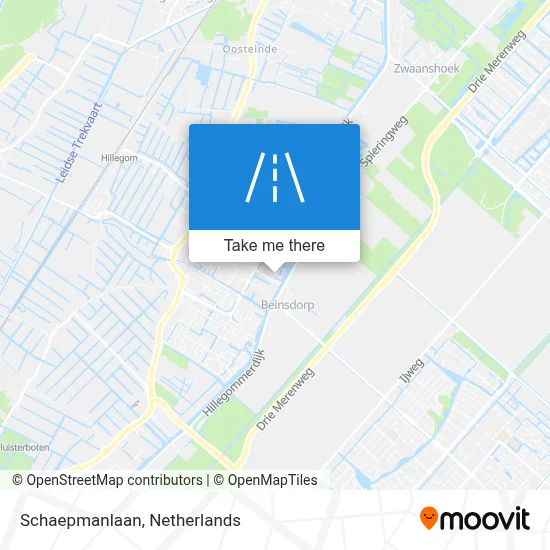 Schaepmanlaan map