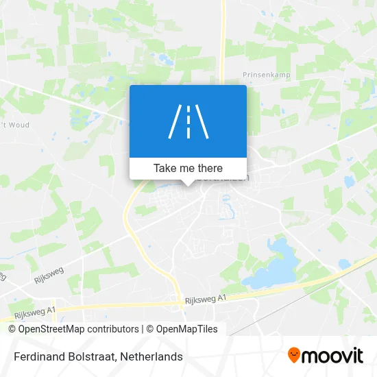 Ferdinand Bolstraat map