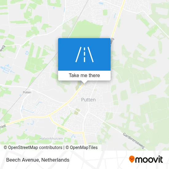 Beukenlaan map