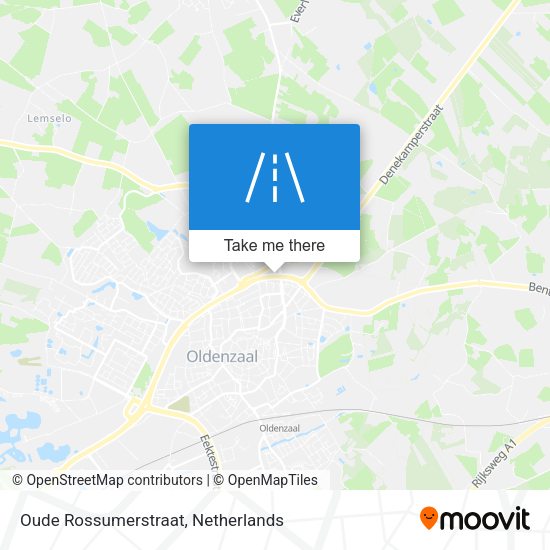 Oude Rossumerstraat map