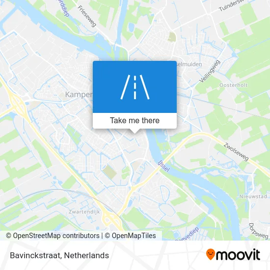 Bavinckstraat map
