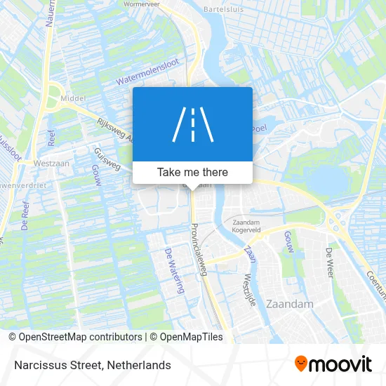 Narcisstraat map