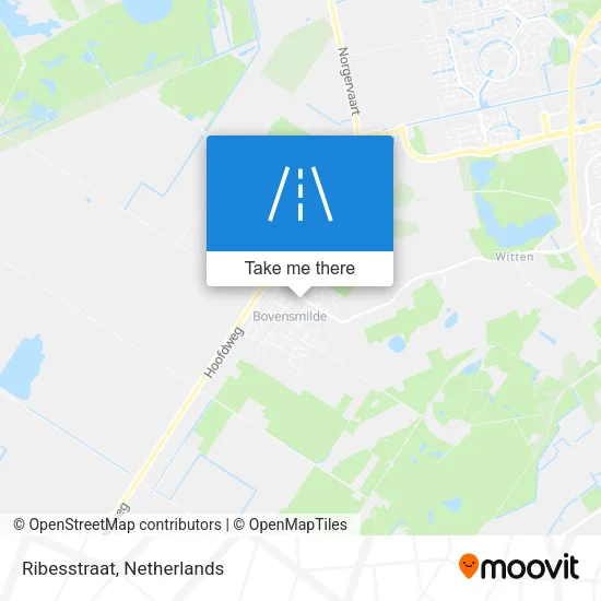 Ribesstraat map