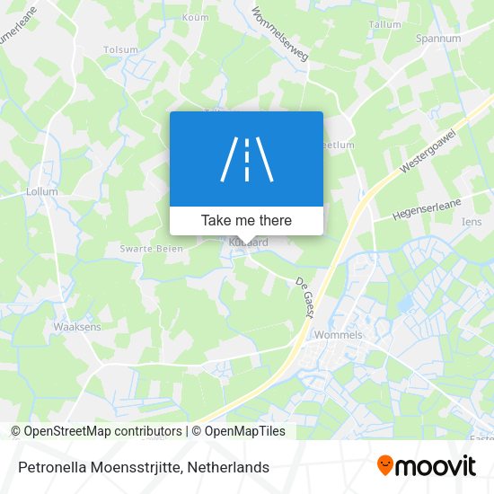 Petronella Moensstrjitte map