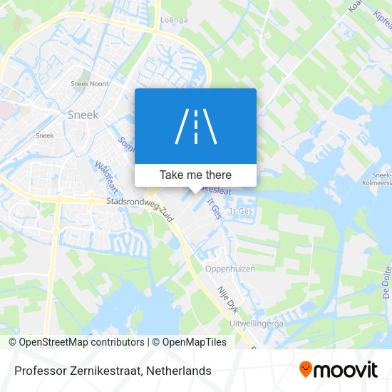 Professor Zernikestraat map