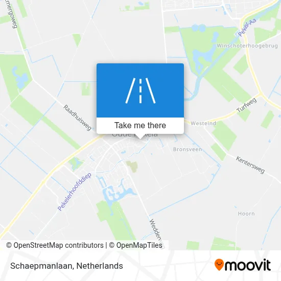Schaepmanlaan map