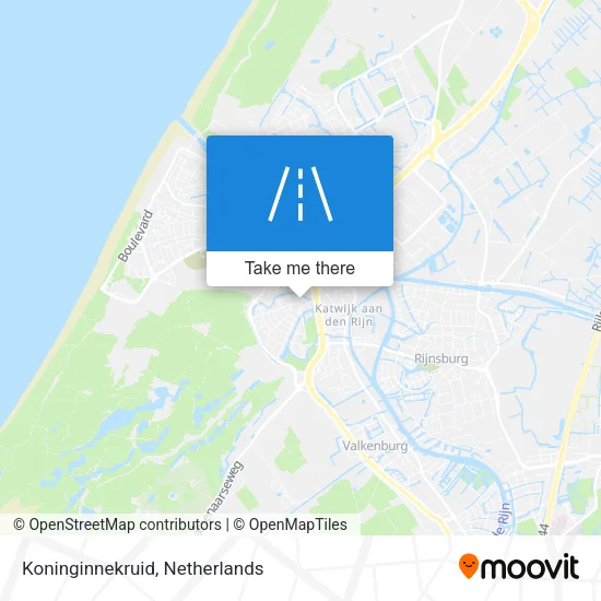 Koninginnekruid map