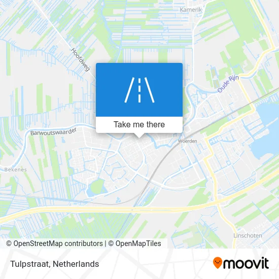 Tulpstraat map