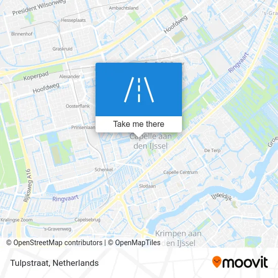 Tulpstraat map