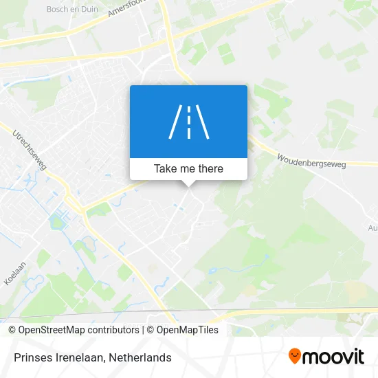 Prinses Irenelaan map