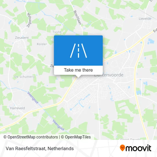 Van Raesfeltstraat map