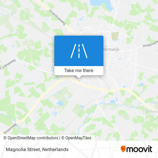 Magnoliastraat map