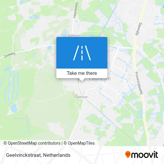 Geelvinckstraat map