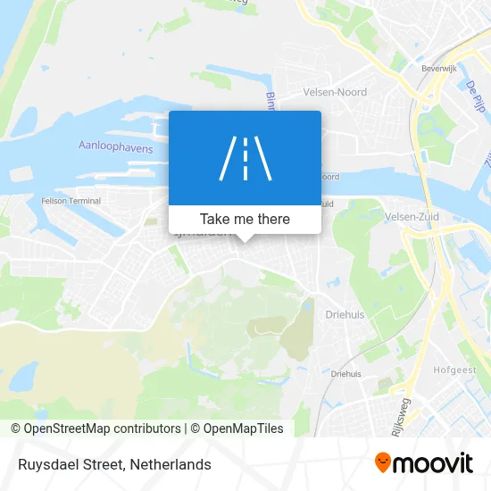 Ruysdaelstraat map