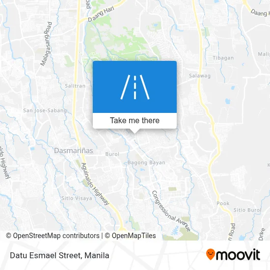 Datu Esmael Street map