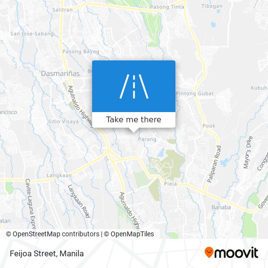 Feijoa Street map