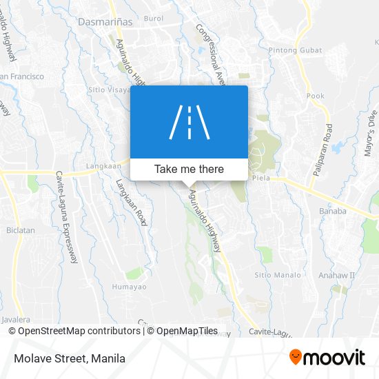 Molave Street map