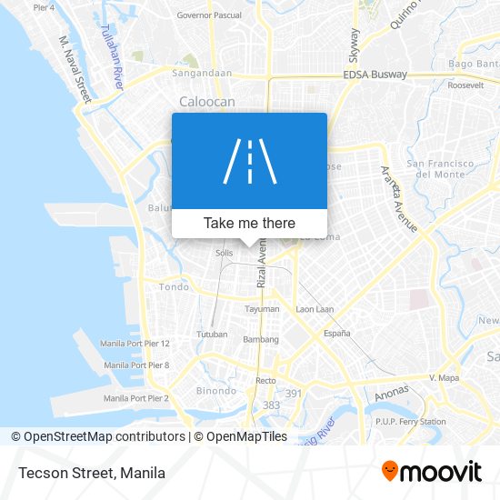 Tecson Street map