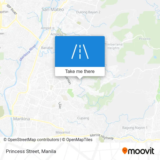 Princess Street map