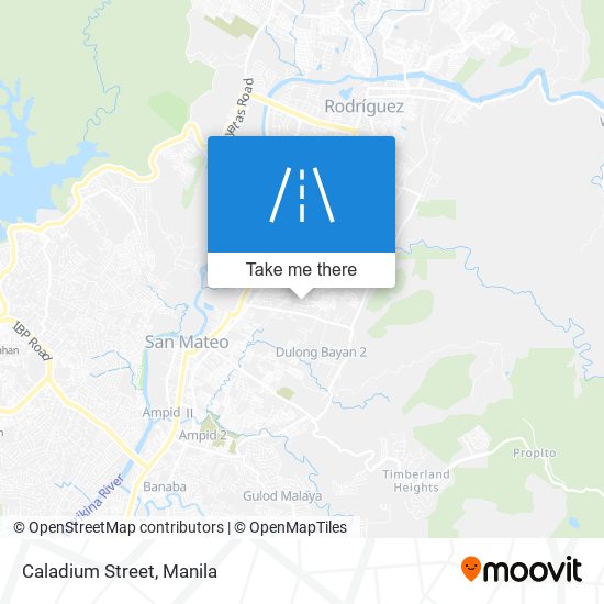 Caladium Street map