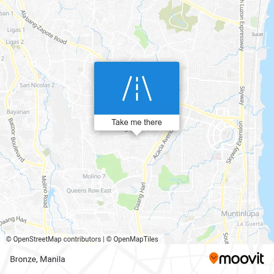 Bronze map
