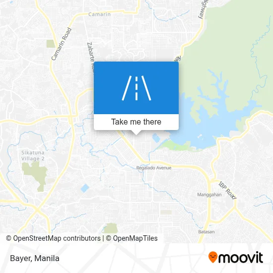 Bayer map