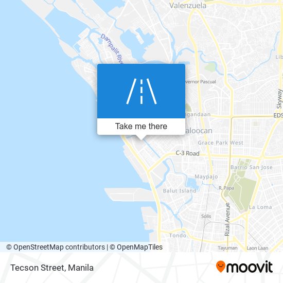 Tecson Street map