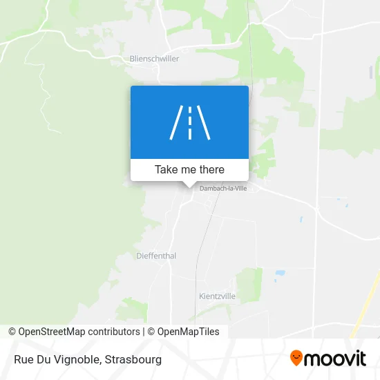 Rue Du Vignoble map
