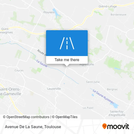 Avenue De La Saune map