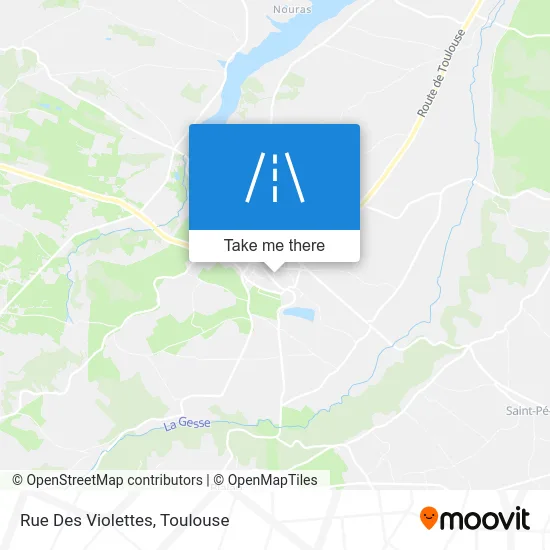 Rue Des Violettes map