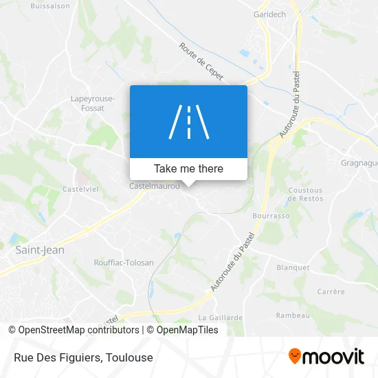 Rue Des Figuiers map
