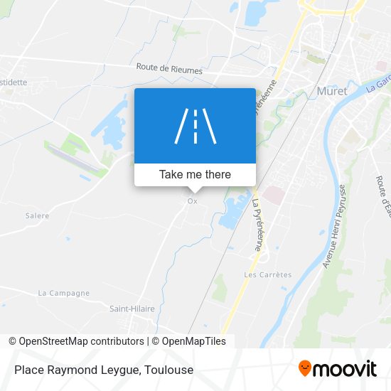 Place Raymond Leygue map