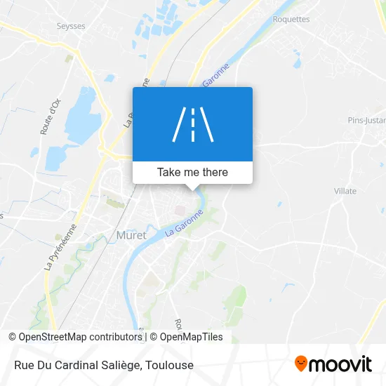 Rue Du Cardinal Saliège map