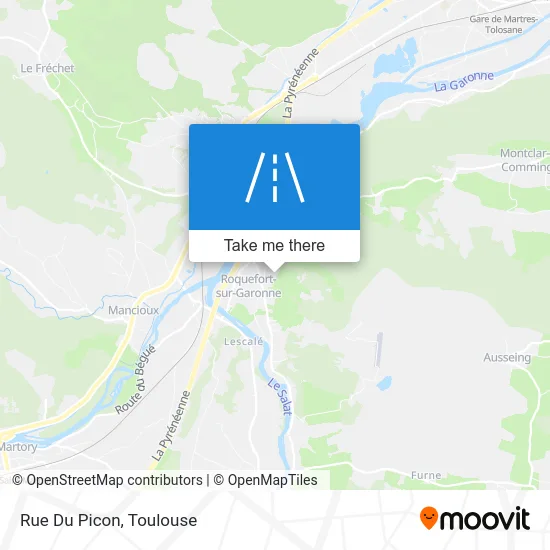 Rue Du Picon map