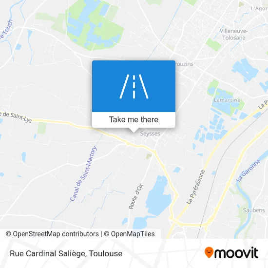 Rue Cardinal Saliège map