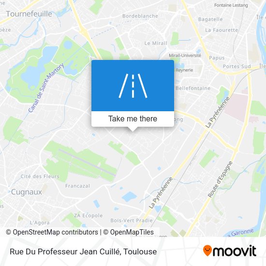 Rue Du Professeur Jean Cuillé map