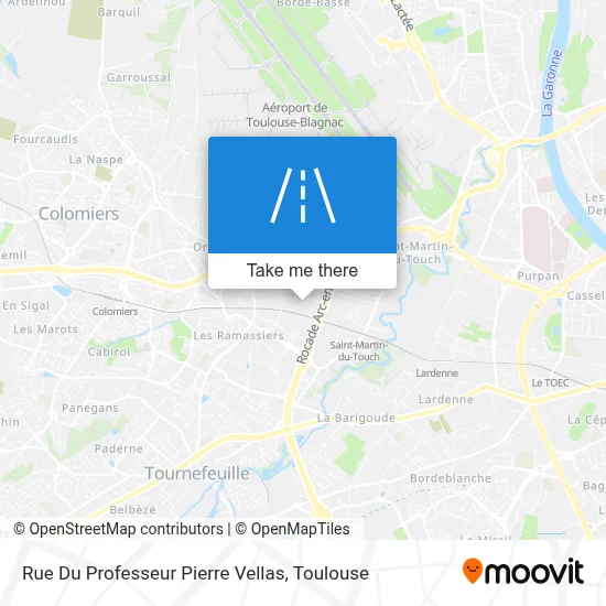 Rue Du Professeur Pierre Vellas map