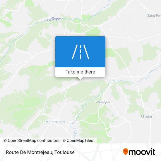 Route De Montréjeau map