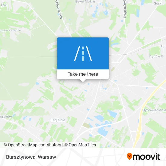 Карта Bursztynowa