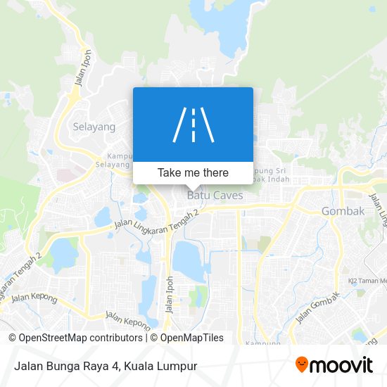 Peta Jalan Bunga Raya 4