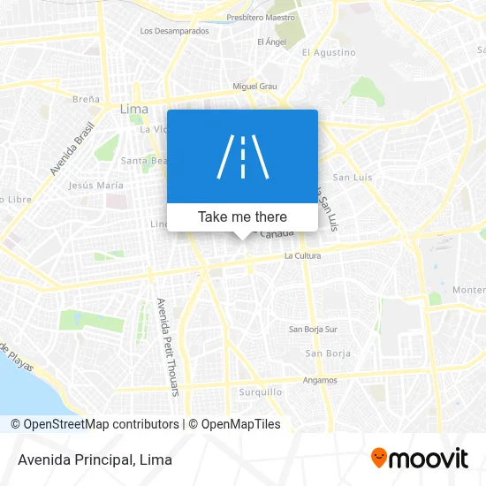 Avenida Principal map