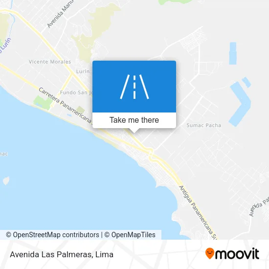 Avenida Las Palmeras map