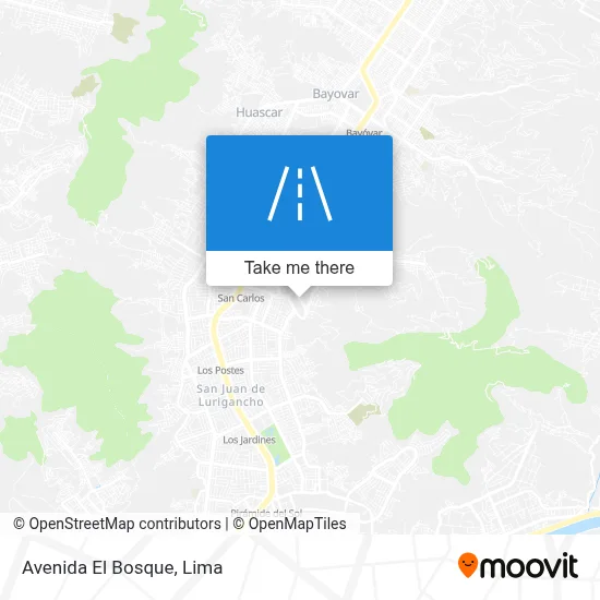 Avenida El Bosque map