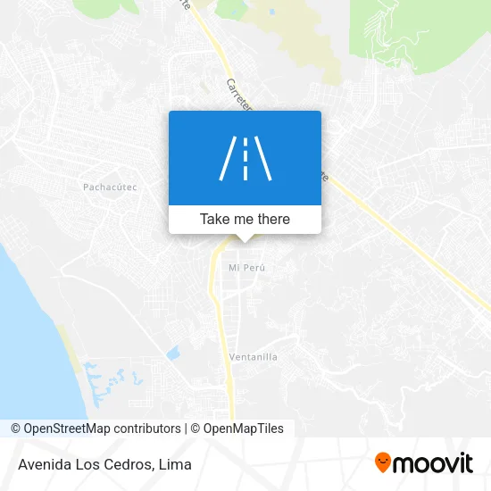 Avenida Los Cedros map