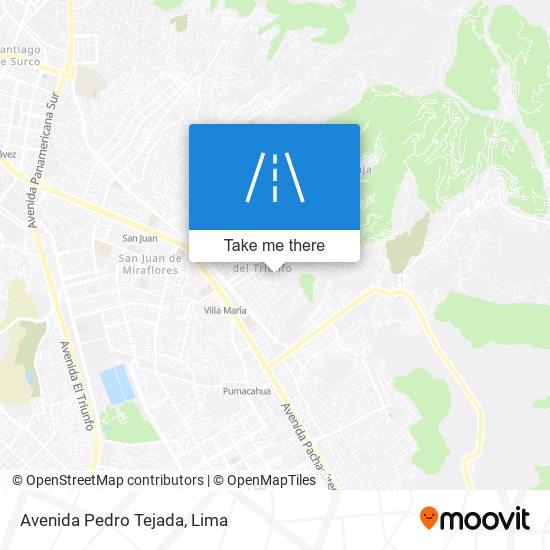 Avenida Pedro Tejada map