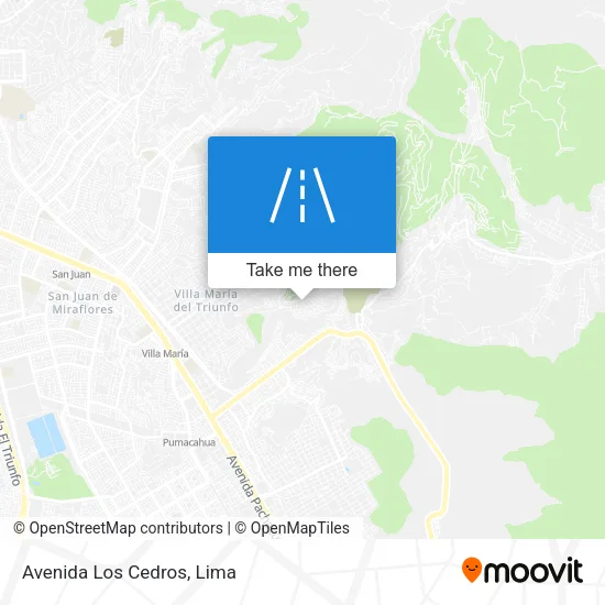 Avenida Los Cedros map