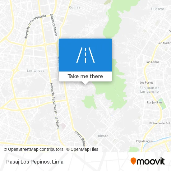 Pasaj Los Pepinos map