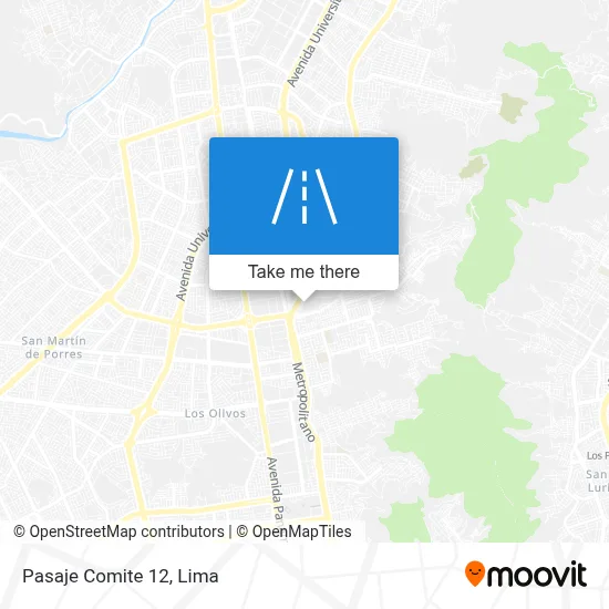 Pasaje Comite 12 map