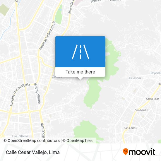 Mapa de Calle Cesar Vallejo